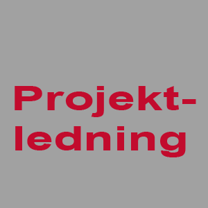 Projektledning-webb
